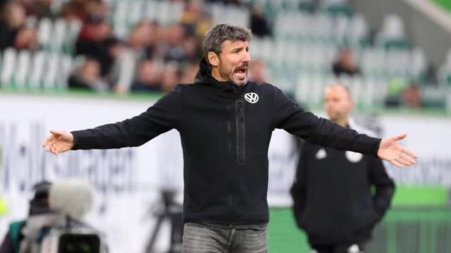 现出了极高 现出了极高