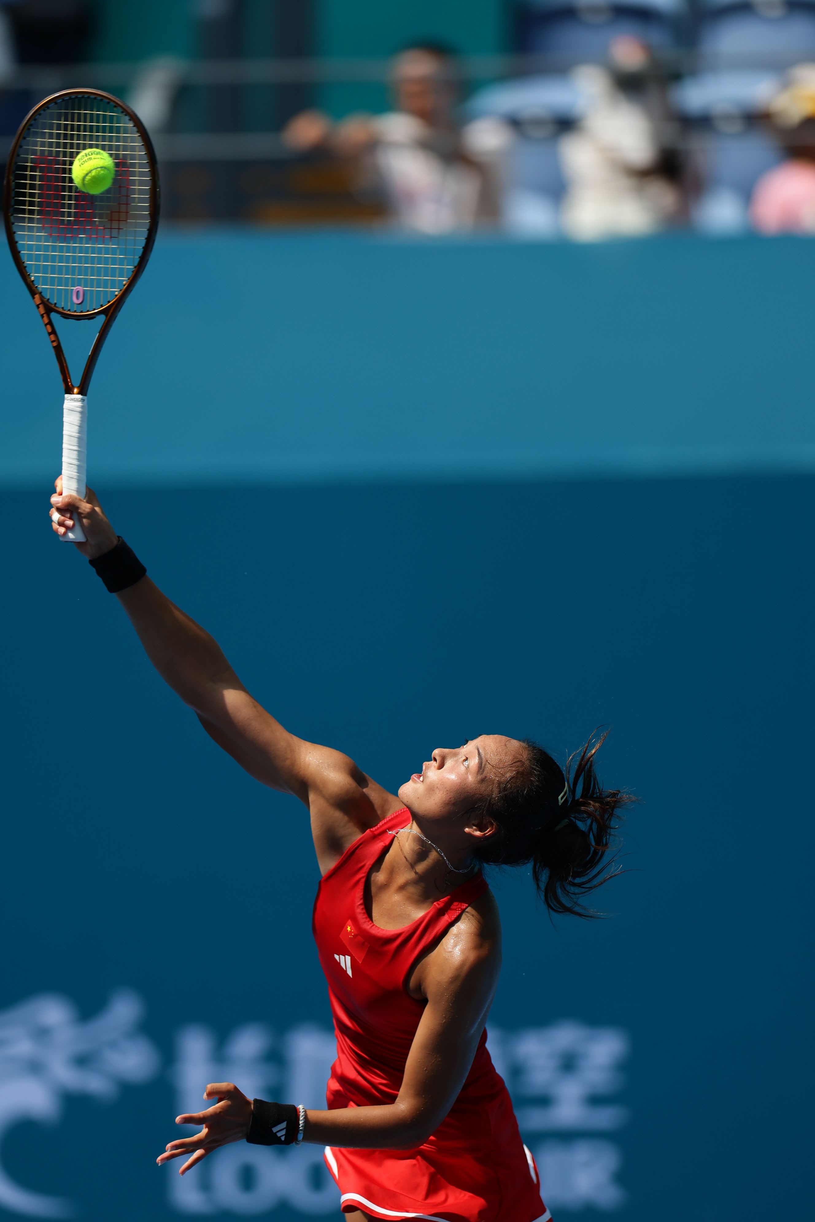 政治体制的 政治体制的