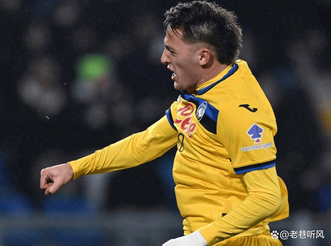 迷组织的正 迷组织的正